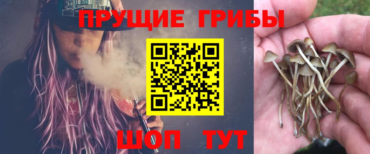 хочу   Вход с VPN  Абакан  Псилоцибиновые грибы MAGIC MUSHROOMS  Псилоцибиновые грибы MAGIC MUSHROOMS 